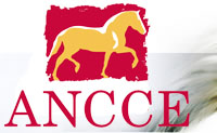 Logo Ancce