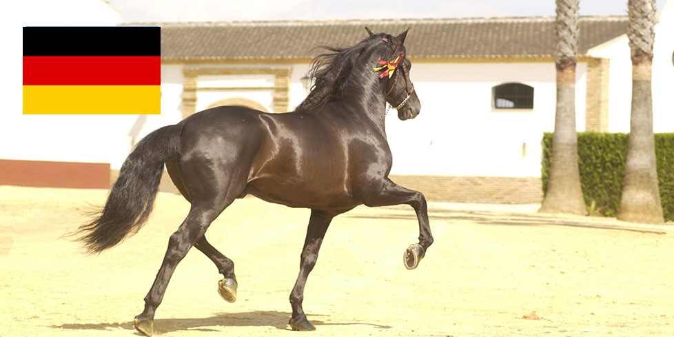 Valoracion Alemania