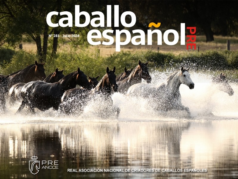 Caballo español