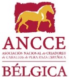 anccebelgica.jpg