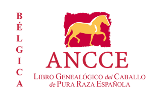 anccebelgicanuevo.png
