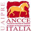 ancceitalia.jpg