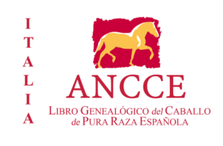 ancceitalianuevo.png