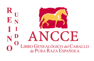 anccereinounidonuevo.png