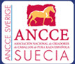 anccesuecia.jpg