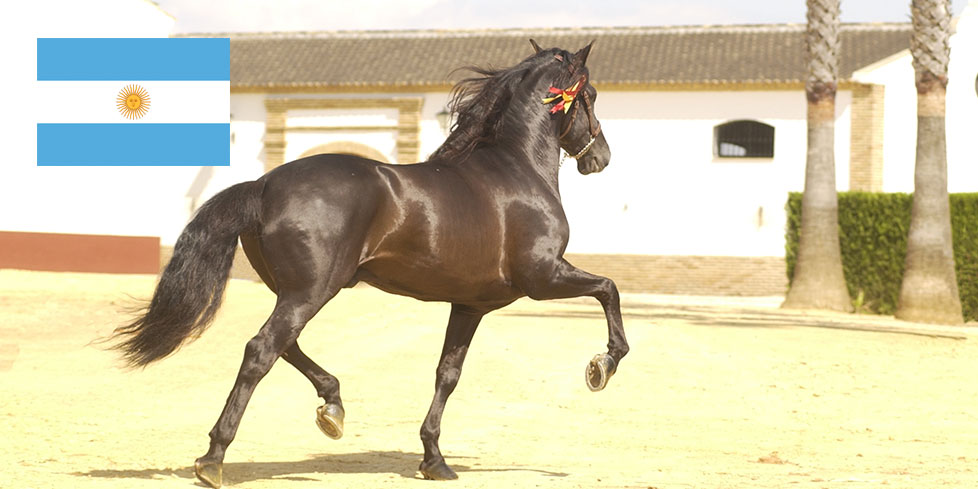 argentina_horizontal.jpg