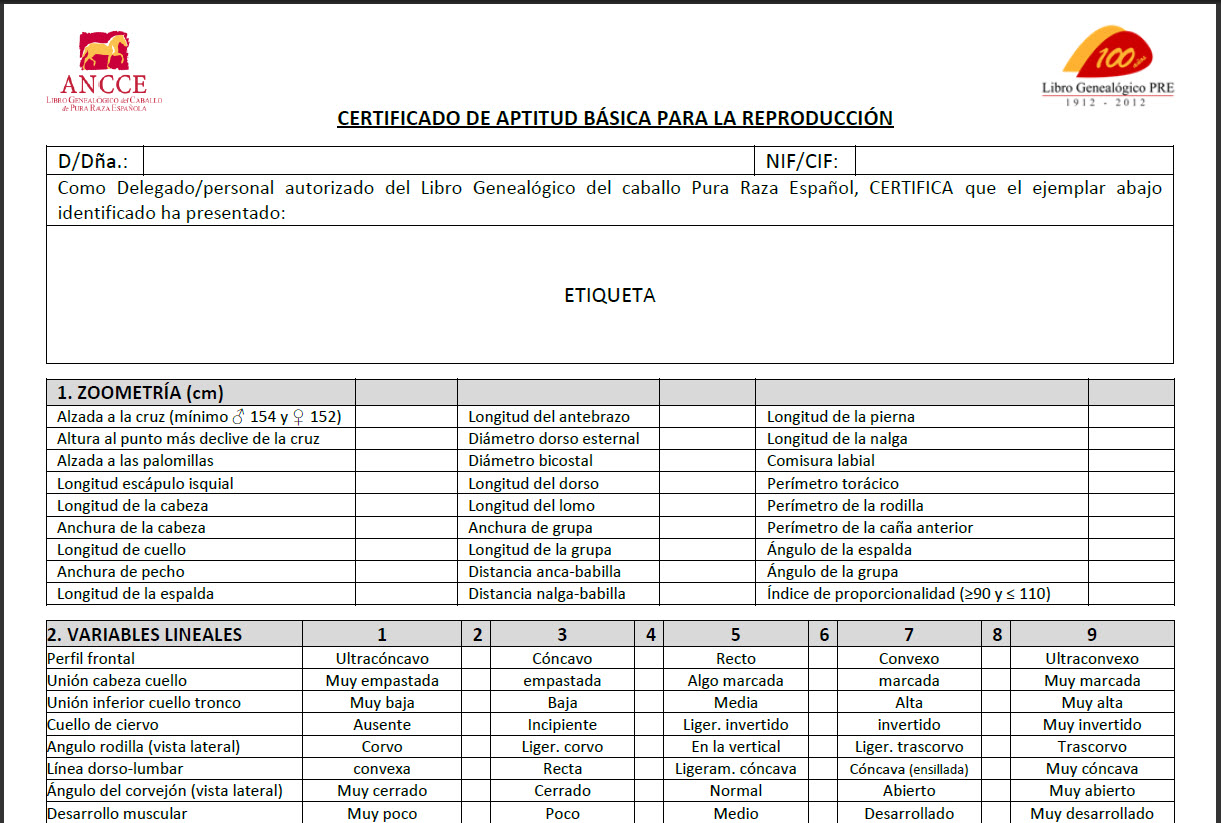certificadoaptitudbasica.jpg
