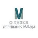 colegiovetemalaga.jpg