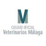 colegiovetemalagag.jpg
