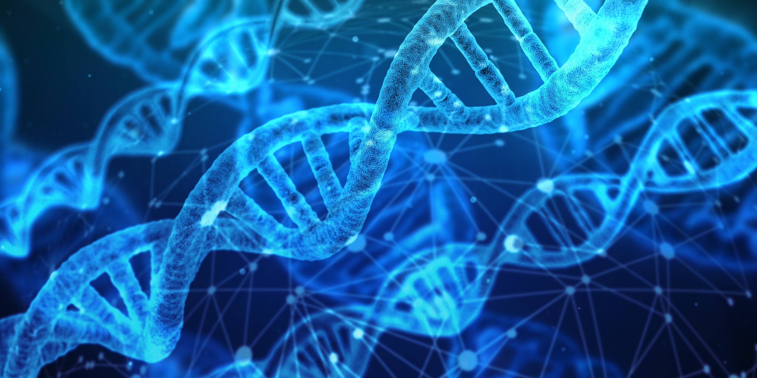dna-3539309.jpg