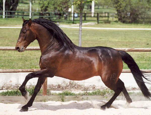 ermitano_iii.jpg
