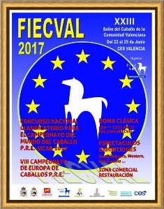 fiecval2017p.jpg