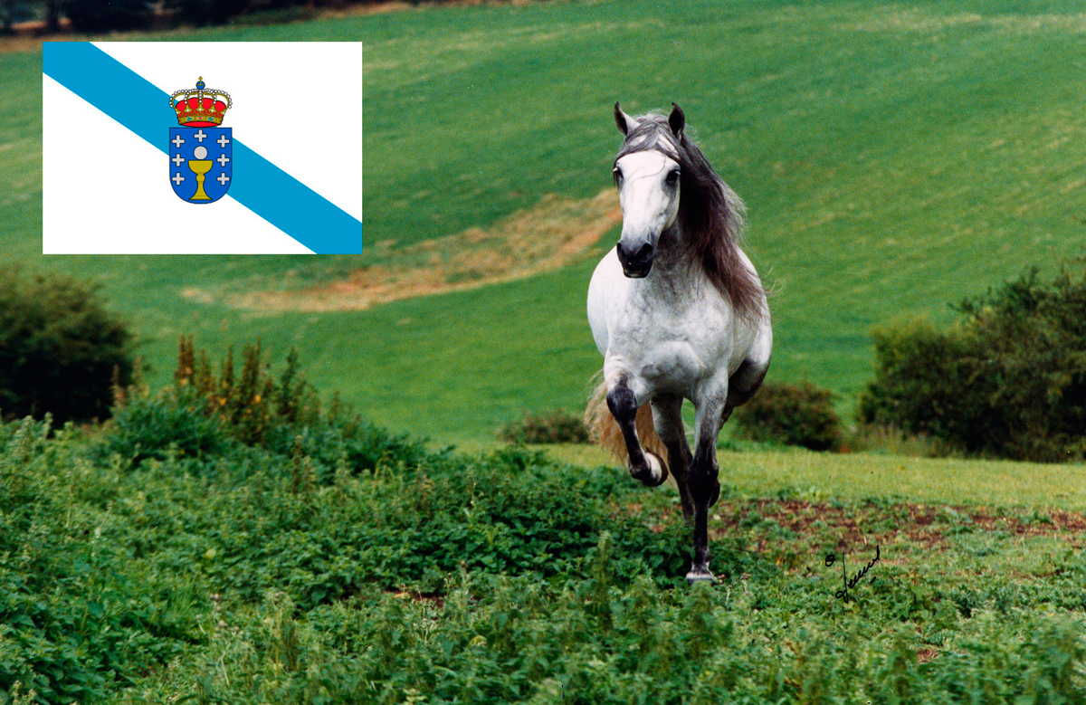 galicia-face.jpg