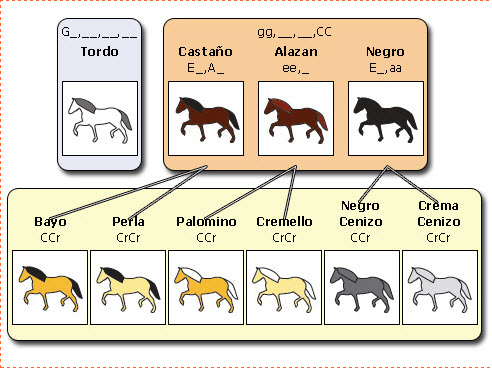 geneticas2.jpg