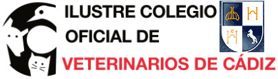 jerezcurso.jpg
