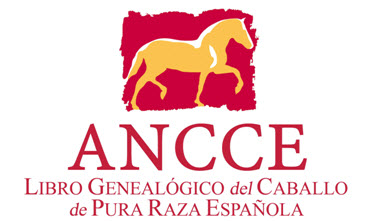 logo_lg_ancce.jpg