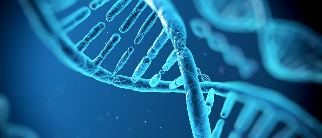 noticia_genetica.jpg