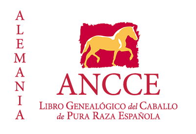 plantilla_logo_lg_pais_alemania.png