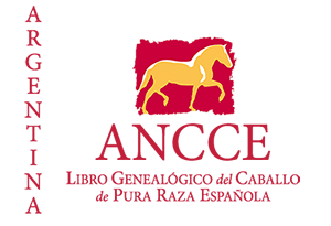 plantilla_logo_lg_pais_argentina_web.png