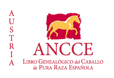 plantilla_logo_lg_pais_austria.png