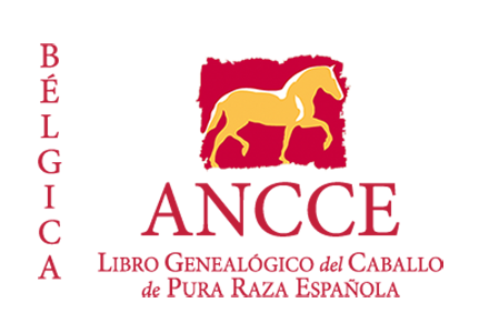 plantilla_logo_lg_pais_belgica.png
