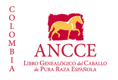 plantilla_logo_lg_pais_colombia2.png