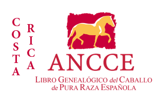 plantilla_logo_lg_pais_costa_rica.png