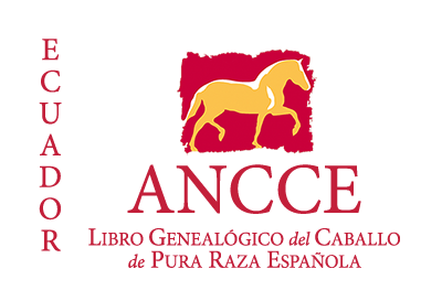 plantilla_logo_lg_pais_ecuador.png