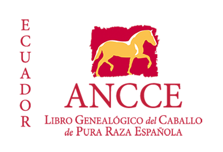 plantilla_logo_lg_pais_ecuador.png
