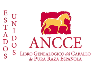 plantilla_logo_lg_pais_eeuu.png