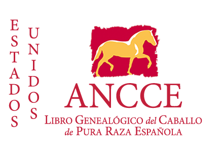 plantilla_logo_lg_pais_eeuu.png