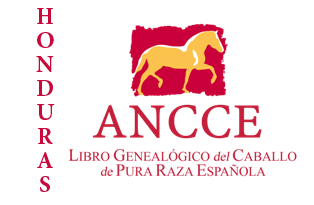 plantilla_logo_lg_pais_honduras.png
