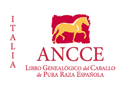 plantilla_logo_lg_pais_italia.png