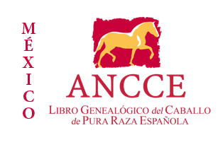 plantilla_logo_lg_pais_mexico.png