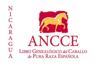 plantilla_logo_lg_pais_nicaragua.png