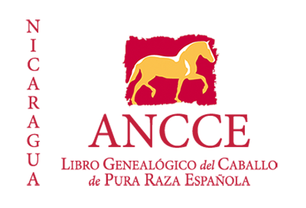 plantilla_logo_lg_pais_nicaragua.png