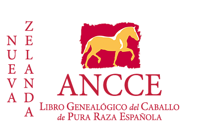 plantilla_logo_lg_pais_nueva_zelanda.png