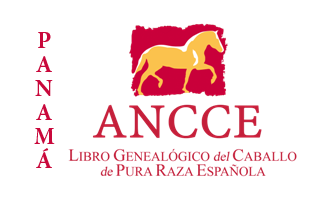plantilla_logo_lg_pais_panama.png