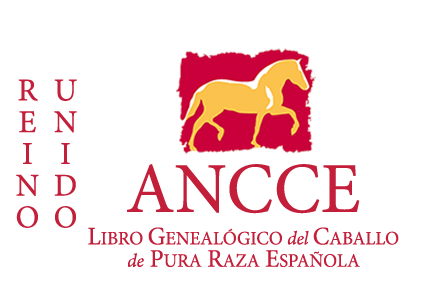plantilla_logo_lg_pais_reinounido.png