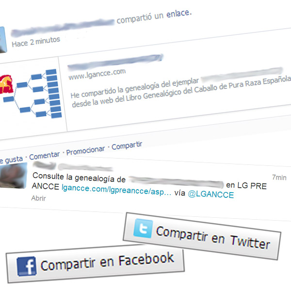 redessociales.jpg