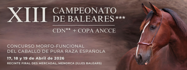 XIII Campeonato de Baleares CDN ***