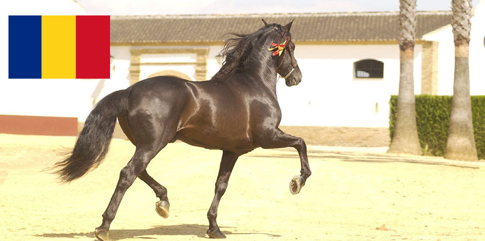 Rumanía