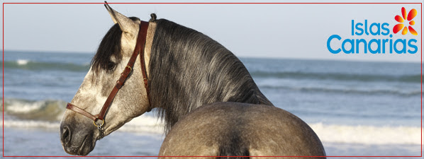 Canarias
