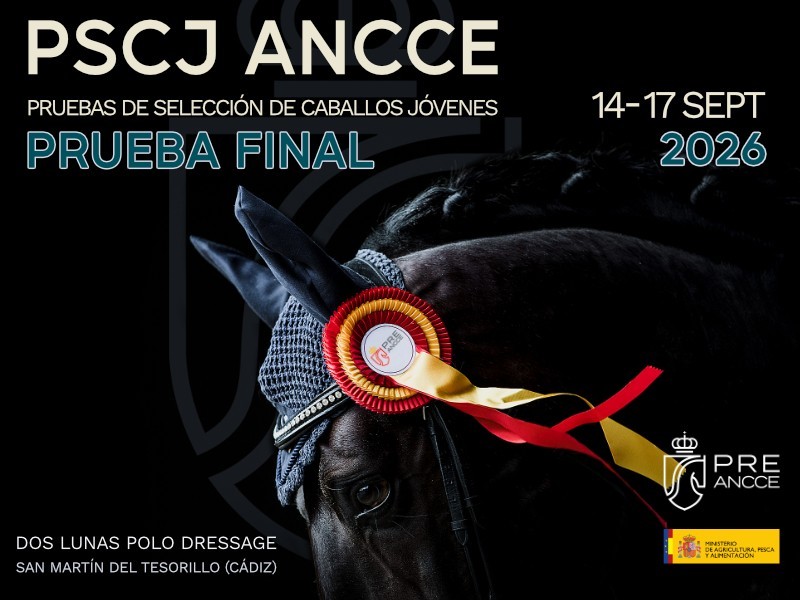 PSCJ 2026